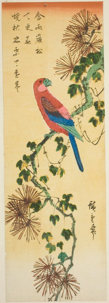 Ara na porośniętej bluszczem gałęzi sosny autorstwa Utagawa Hiroshige
