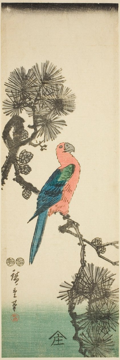 Ara na gałęzi sosny autorstwa Utagawa Hiroshige