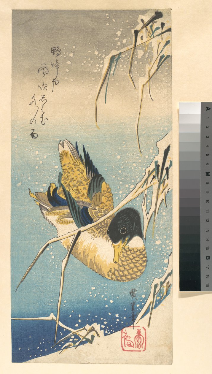 Stockente und schneebedeckte Schilfrohre autorstwa Utagawa Hiroshige