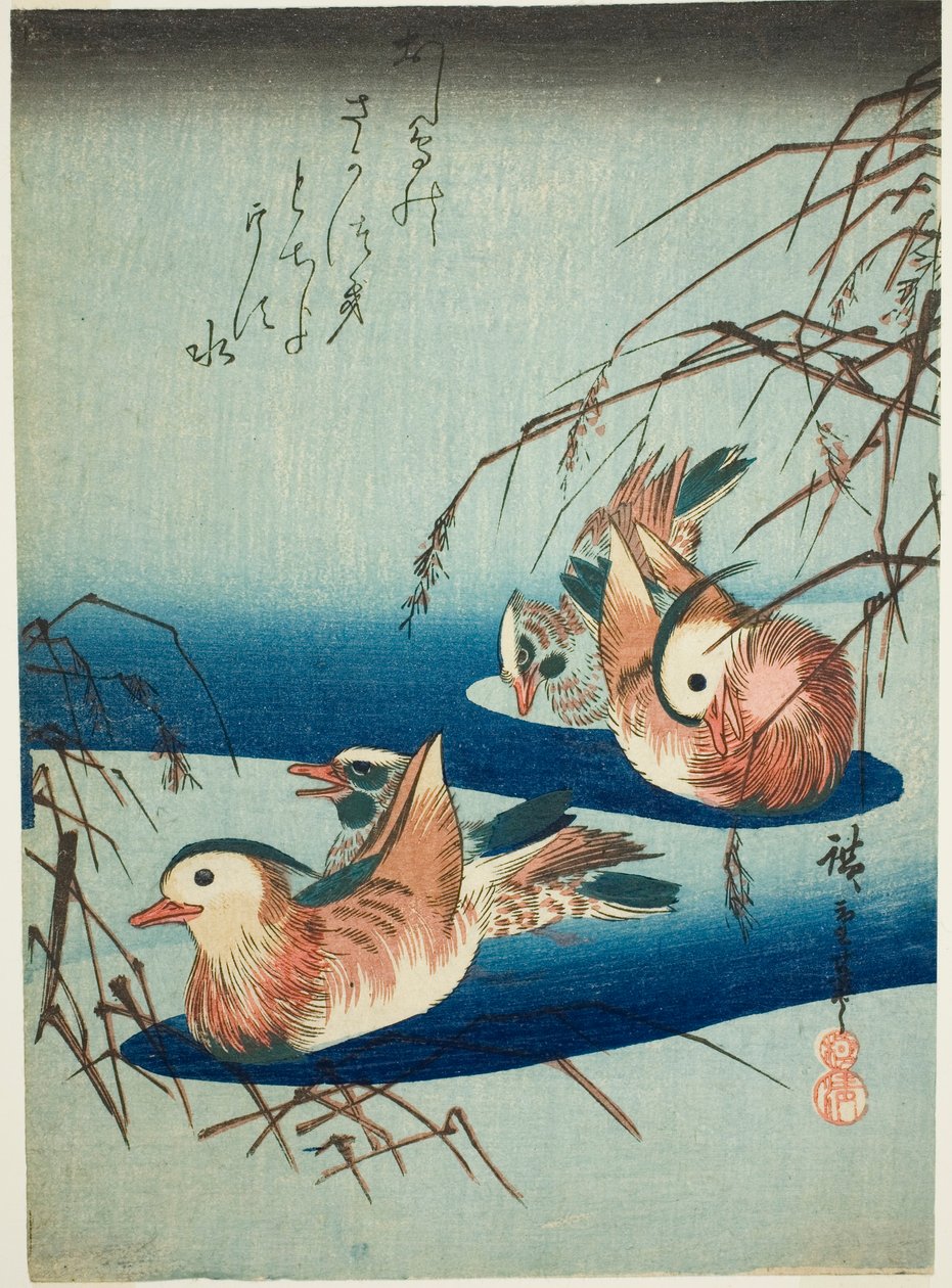 Kaczki mandarynki autorstwa Utagawa Hiroshige