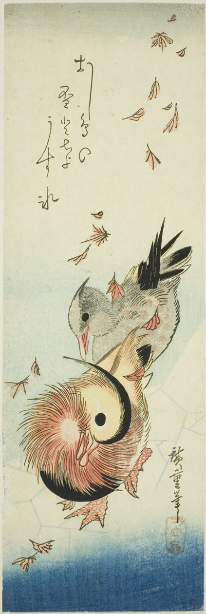 Kaczki mandarynki przemierzające lodowaty staw wśród opadających liści autorstwa Utagawa Hiroshige