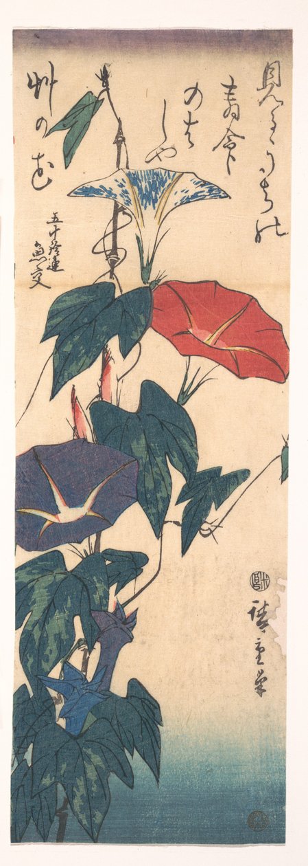 Prunkwinden autorstwa Utagawa Hiroshige
