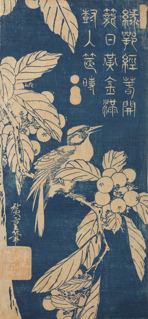 Niesplik japoński i mały ptaszek / Biwa ni kotori autorstwa Utagawa Hiroshige