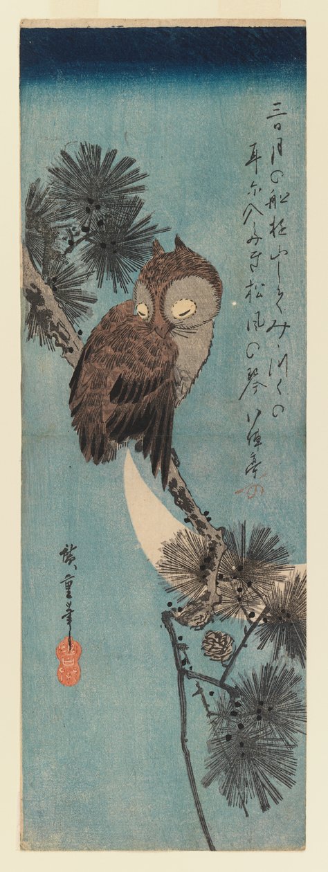 Sowa na gałęzi sosny, ok.1833 (kolorowy drzeworyt) autorstwa Utagawa Hiroshige