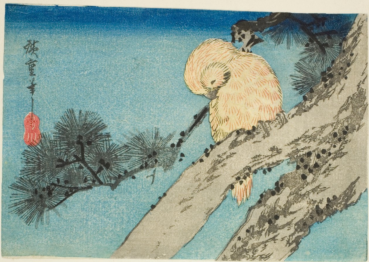 Sowa na gałęzi sosny autorstwa Utagawa Hiroshige