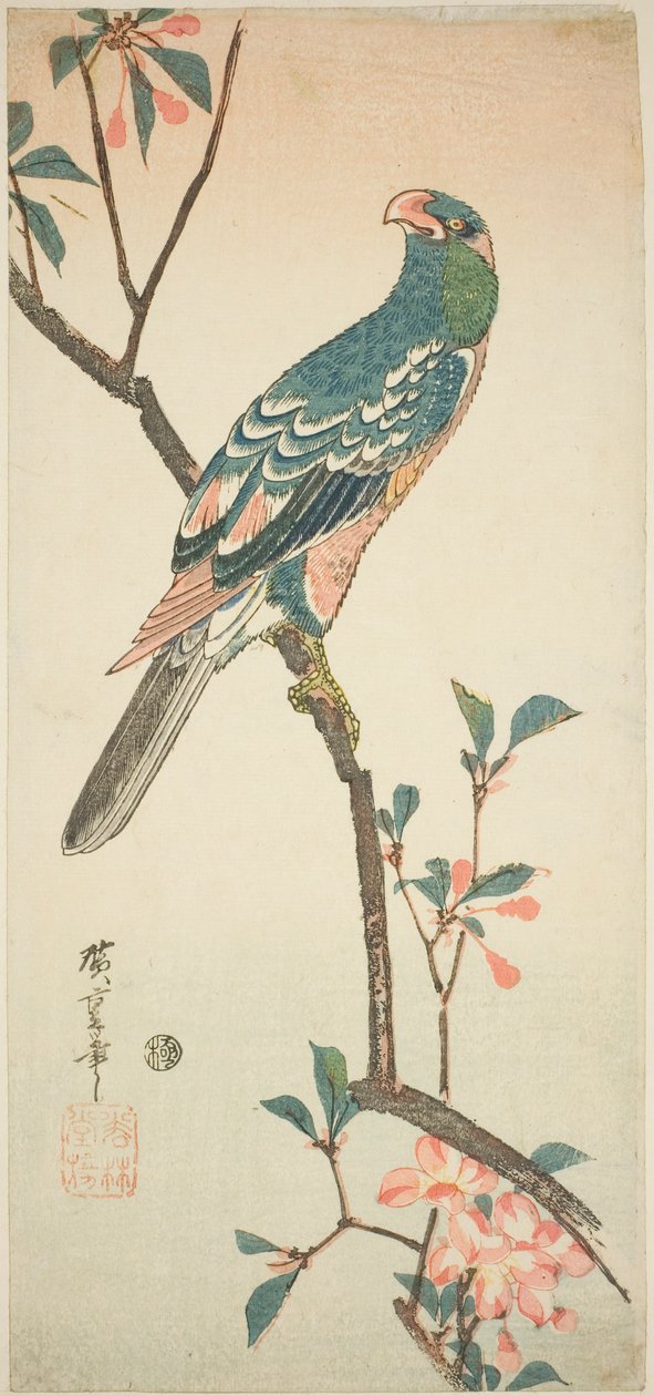 Papuga na kwitnącej gałęzi autorstwa Utagawa Hiroshige