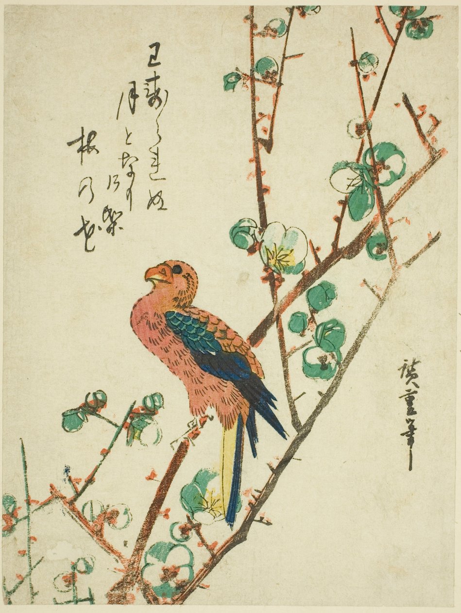Papuga na śliwy autorstwa Utagawa Hiroshige