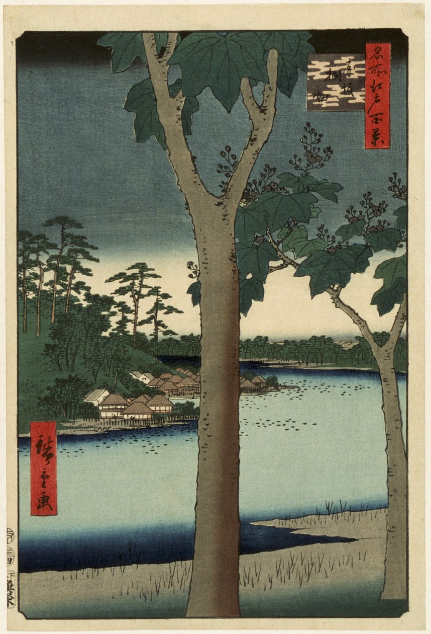 Plantacja paulowni w Akasace autorstwa Utagawa Hiroshige