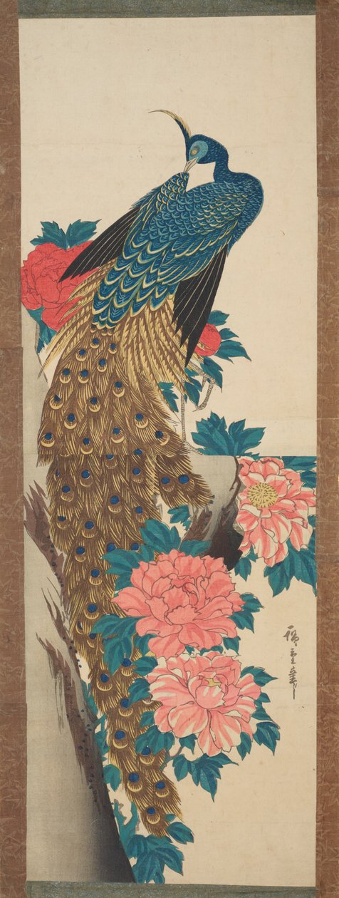 Paw i kwiaty piwonii / Botan ni kujaku autorstwa Utagawa Hiroshige