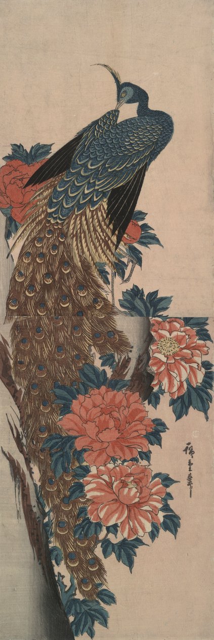 Paw i piwonie autorstwa Utagawa Hiroshige