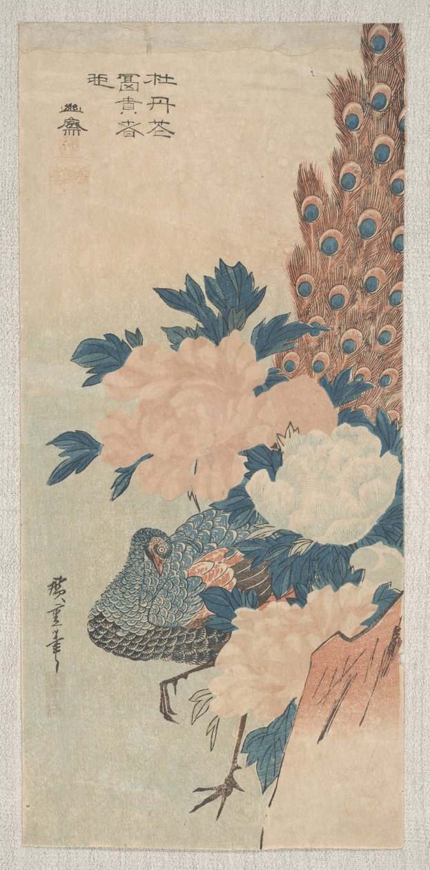 Paw i piwonie, ok. 1830 autorstwa Utagawa Hiroshige