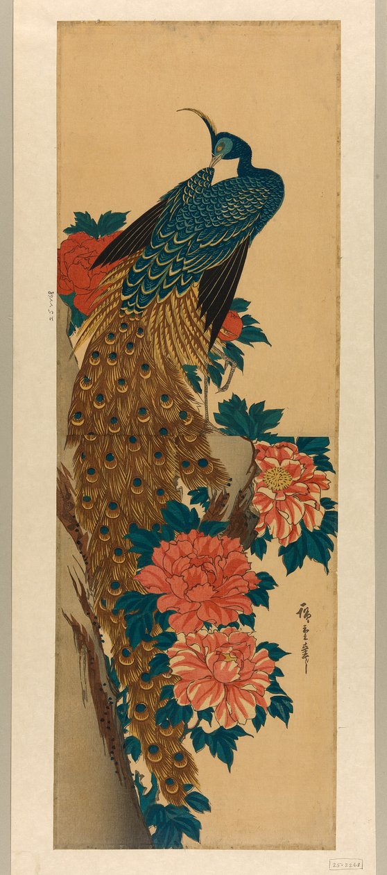 Paw i piwonie autorstwa Utagawa Hiroshige