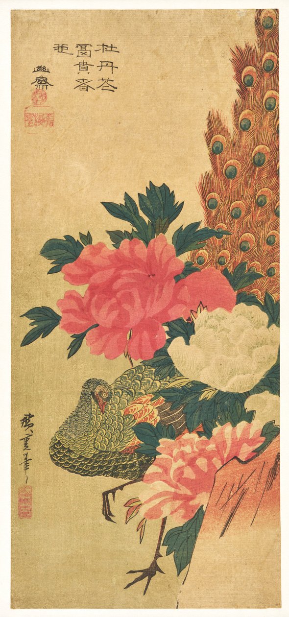 Piwonie i paw autorstwa Utagawa Hiroshige