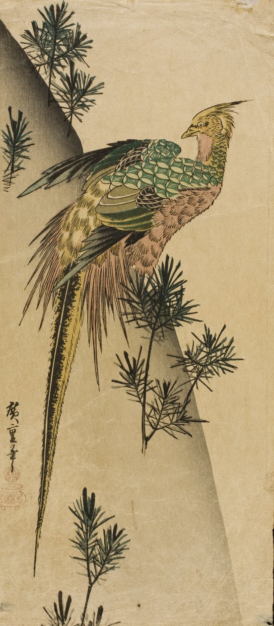Bażant wśród pędów sosny autorstwa Utagawa Hiroshige