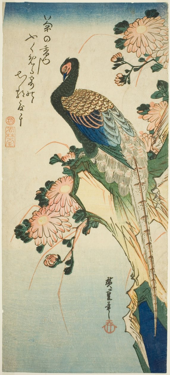 Bażant i chryzantemy autorstwa Utagawa Hiroshige