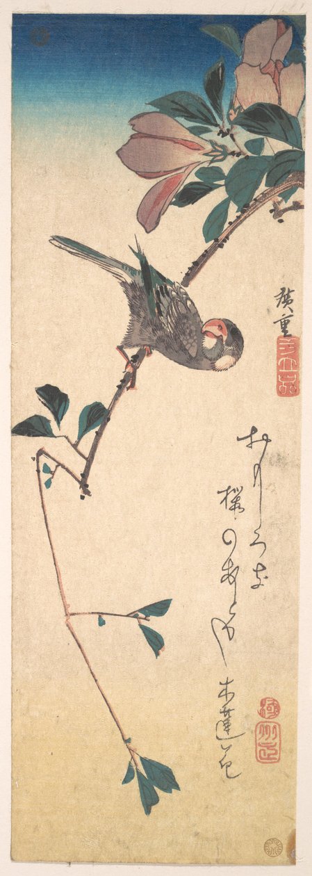 Purpurmagnolie und Hornvogel autorstwa Utagawa Hiroshige