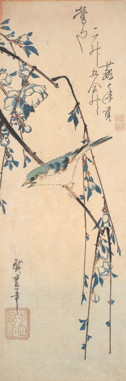 Bluetail czerwonoskrzydły na gałęzi wiśni autorstwa Utagawa Hiroshige