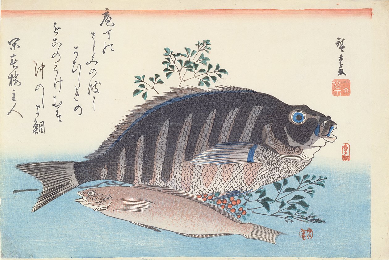Shimadai i Ainame, z cyklu „Duża ryba”, Szkoła Utagawa, ok. 1930 r. 1840-42 (drewnodruk ręcznie barwiony na papierze) autorstwa Utagawa Hiroshige