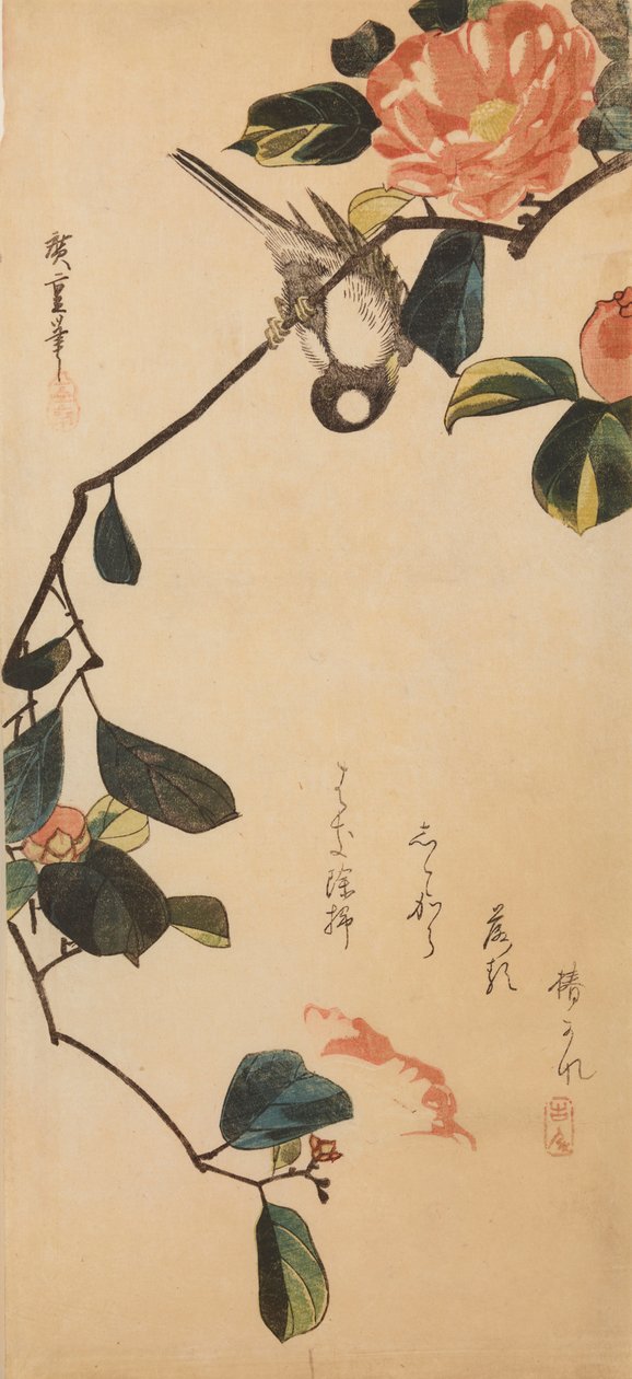 Sikorka na gałązce kwitnącej kamelii / Tsubaki-ni shijukara autorstwa Utagawa Hiroshige
