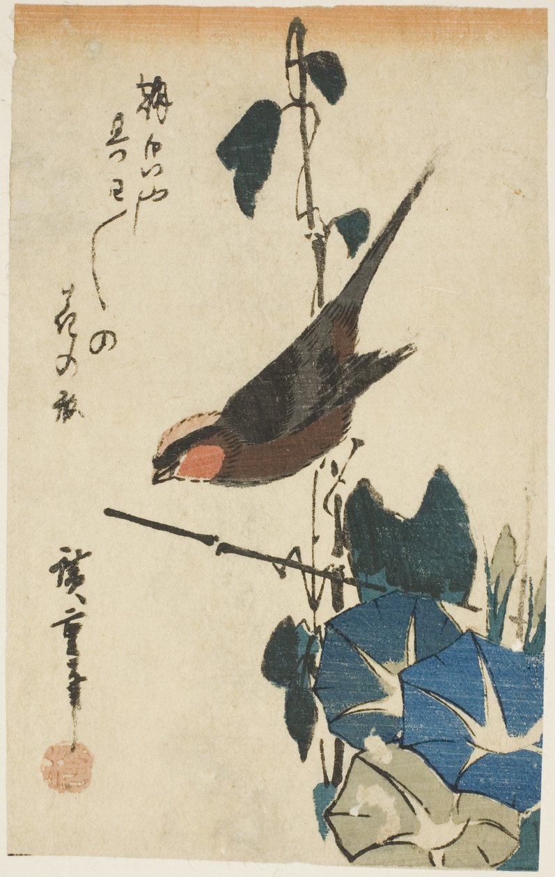 Wróbel i poranne chwały autorstwa Utagawa Hiroshige