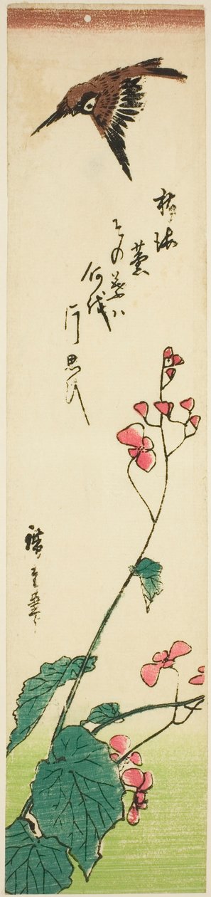 Wróbel przelatujący nad begoniami autorstwa Utagawa Hiroshige