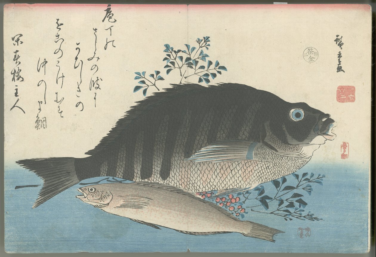 Pasiasty leszcz morski, pstrąg skalny i nandina autorstwa Utagawa Hiroshige