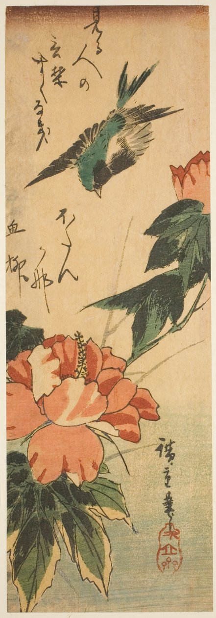 Jaskółka i hibiskus autorstwa Utagawa Hiroshige