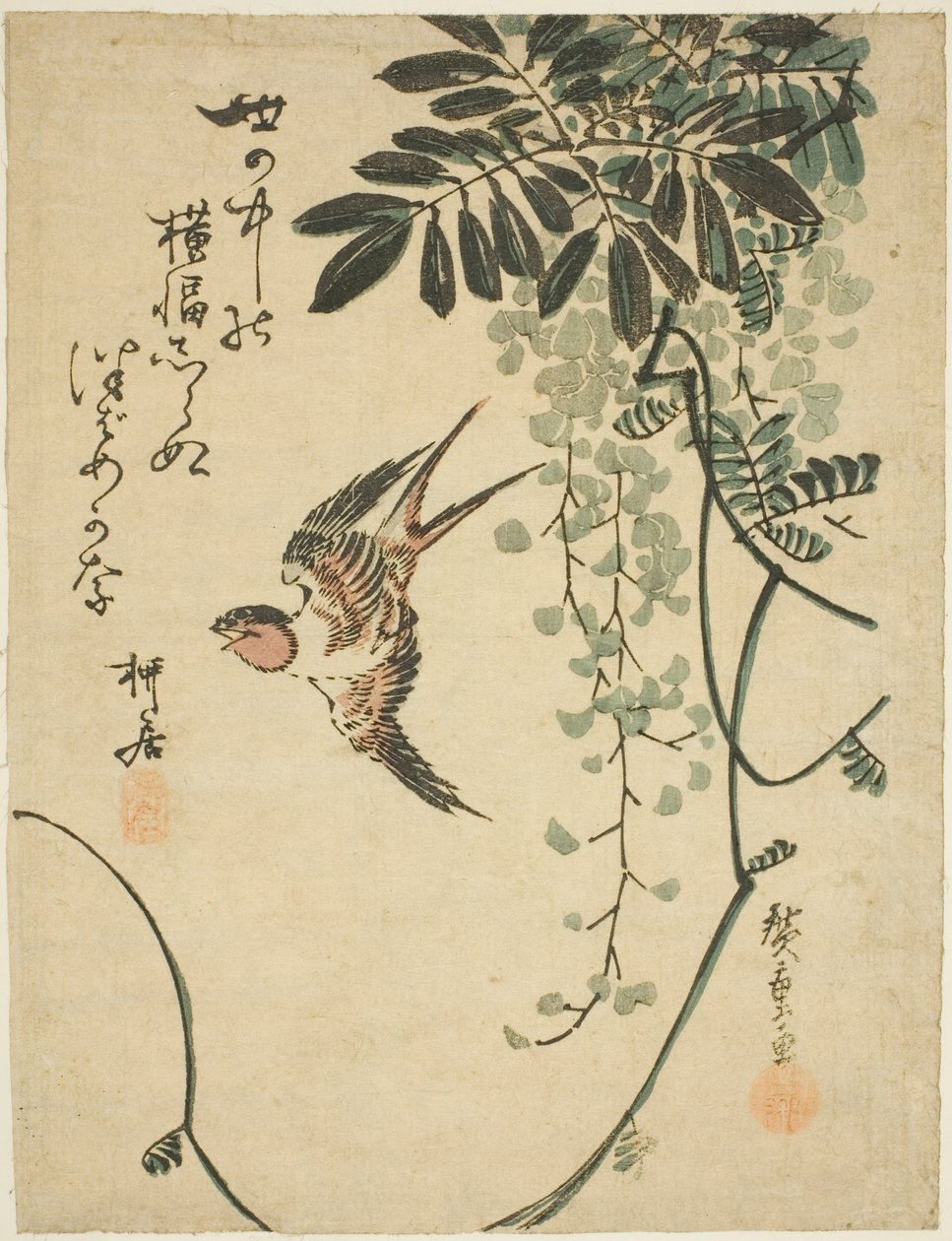 Jaskółka i glicynia autorstwa Utagawa Hiroshige