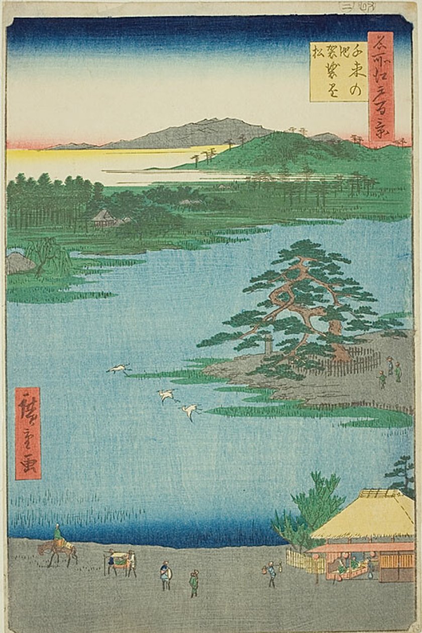 Sosna wisząca nad stawem Senzoku (Senzoku no ike Kesakakematsu), nr 110 z serii "Sto słynnych widoków Edo (Meisho Edo hyakkei)". autorstwa Utagawa Hiroshige