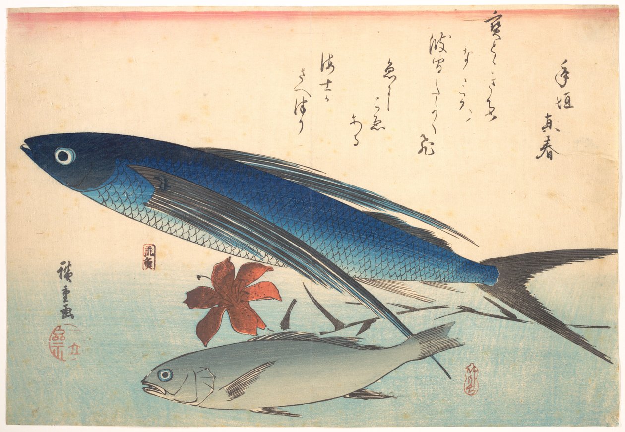 Ryby tobiuo i ishimotchi, z serii Uozukushi (Wszystkie odmiany ryb) autorstwa Utagawa Hiroshige