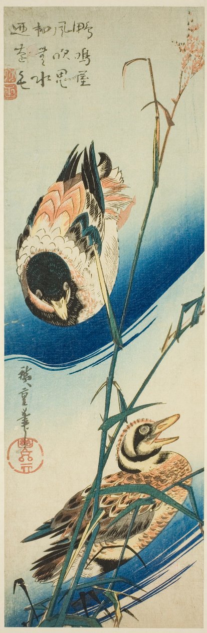 Dwie kaczki pływające wśród trzcin autorstwa Utagawa Hiroshige