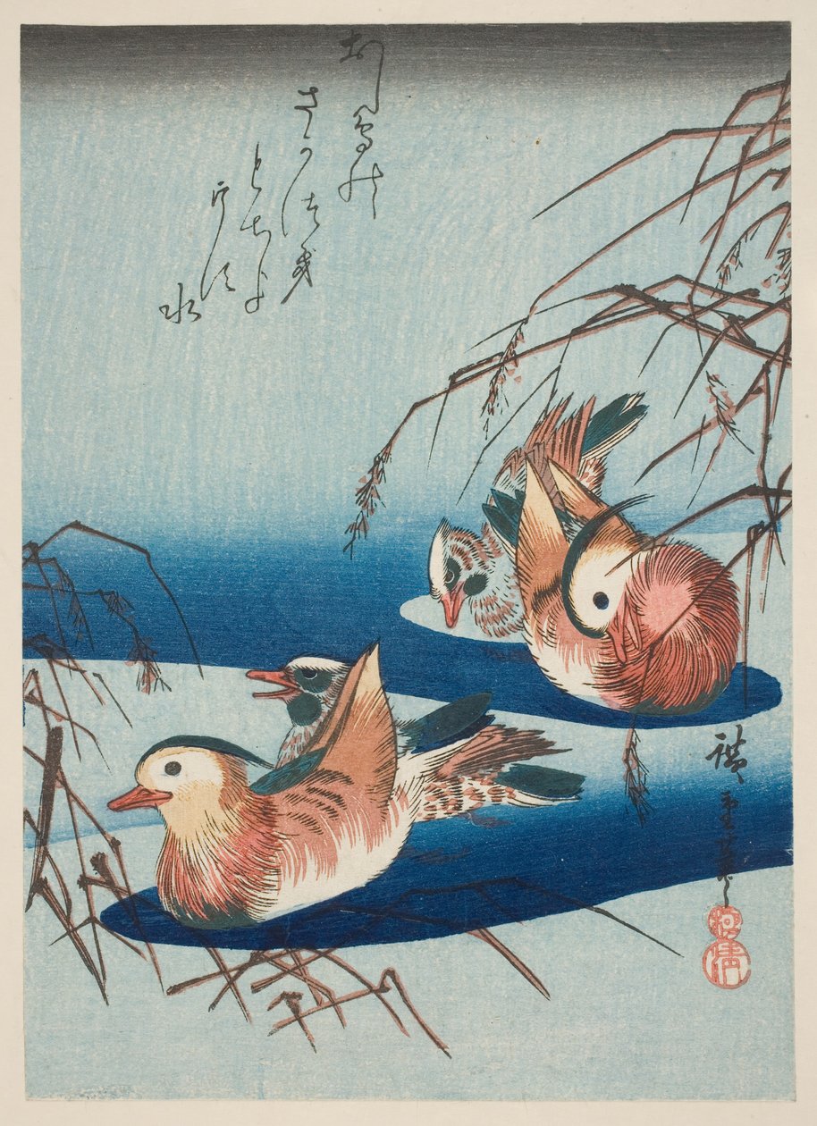 Dwie pary kaczek mandarynek (kolorowy drzeworyt) autorstwa Utagawa Hiroshige
