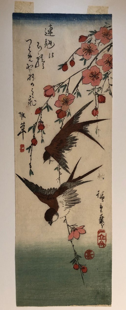 Dwie jaskółki i kwitnące gałęzie jabłoni autorstwa Utagawa Hiroshige