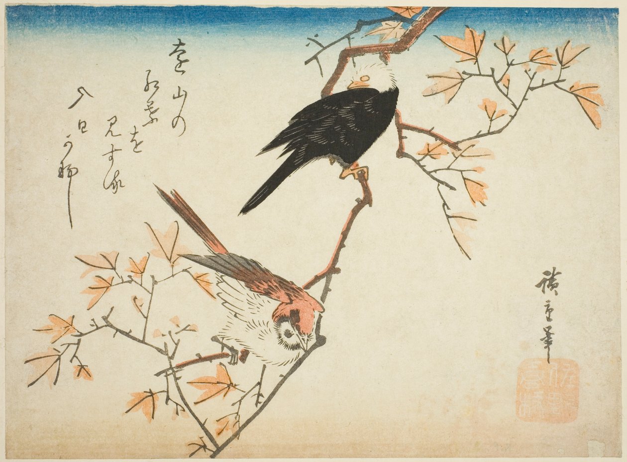 Dwa ptaki na gałęzi klonu autorstwa Utagawa Hiroshige