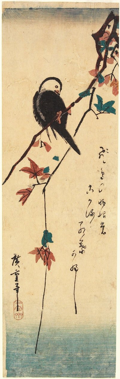 Ptak o białej głowie na gałęzi klonu autorstwa Utagawa Hiroshige