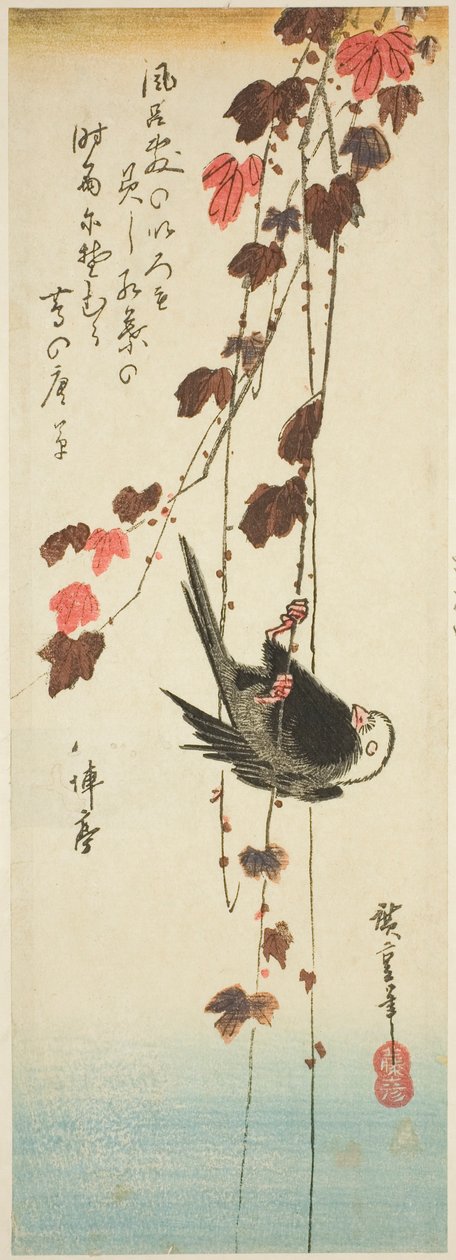 Białogłowy ptak i bluszcz autorstwa Utagawa Hiroshige
