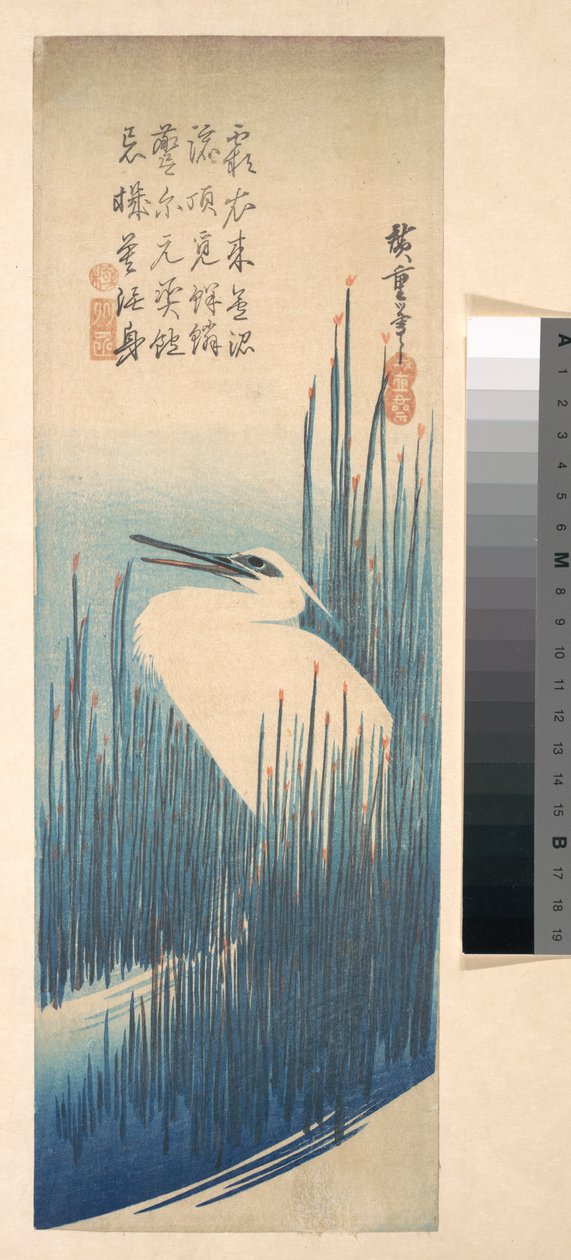 Weißer Reiher zwischen Schilf autorstwa Utagawa Hiroshige