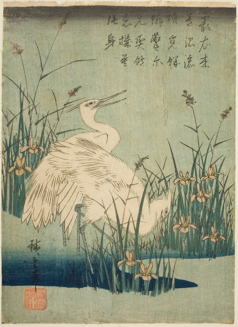 Czapla biała i irys autorstwa Utagawa Hiroshige