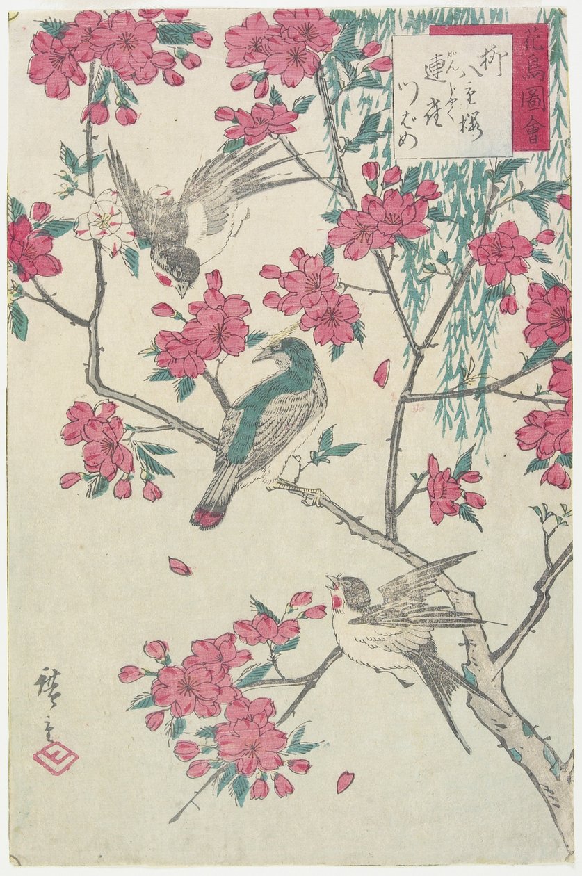 Wierzba, Wiśnia, Wróbel i Jaskółka, początek XIX w. autorstwa Utagawa Hiroshige