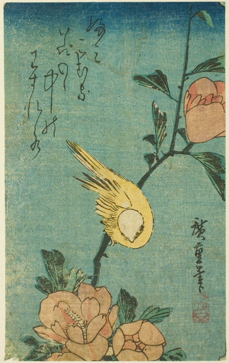 Żółty ptak i hibiskus autorstwa Utagawa Hiroshige