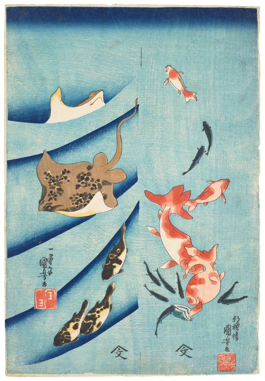 Złota rybka, zabójcza ryba, płaszczka i rozdymka, ok. 1837 r. (drzeworyt) autorstwa Utagawa Kuniyoshi