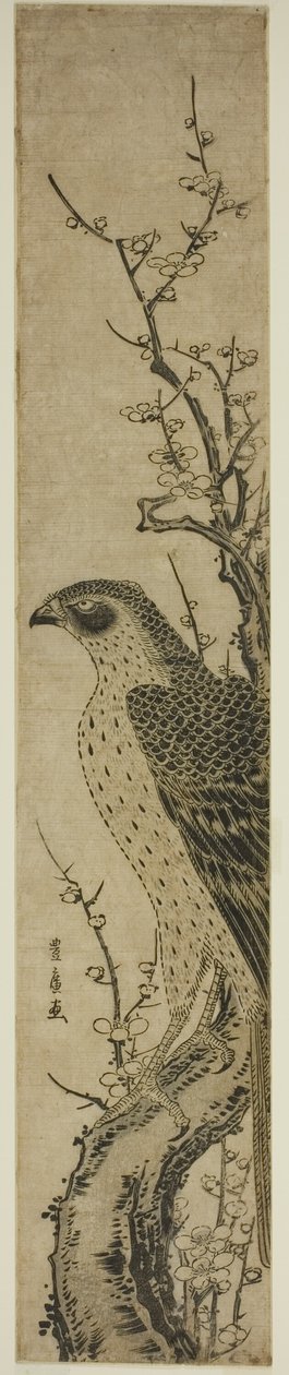 Jastrząb na drzewie wiśni autorstwa Utagawa Toyohiro