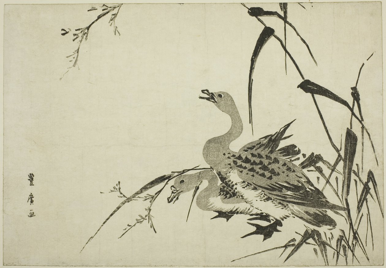 Dzikie gęsi i trzciny autorstwa Utagawa Toyohiro