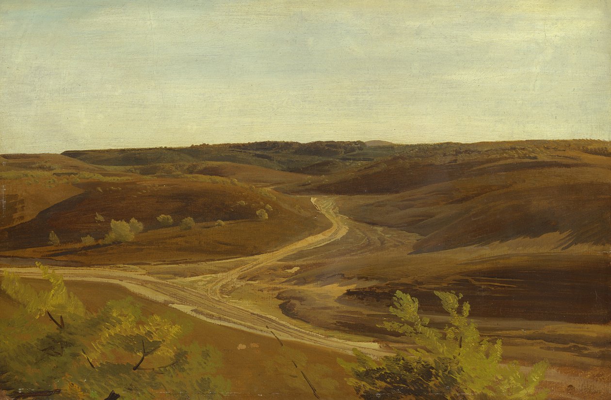 Moorland koło Ehestorf, 1868 (olej na papierze na pokładzie) autorstwa Valentin Ruths