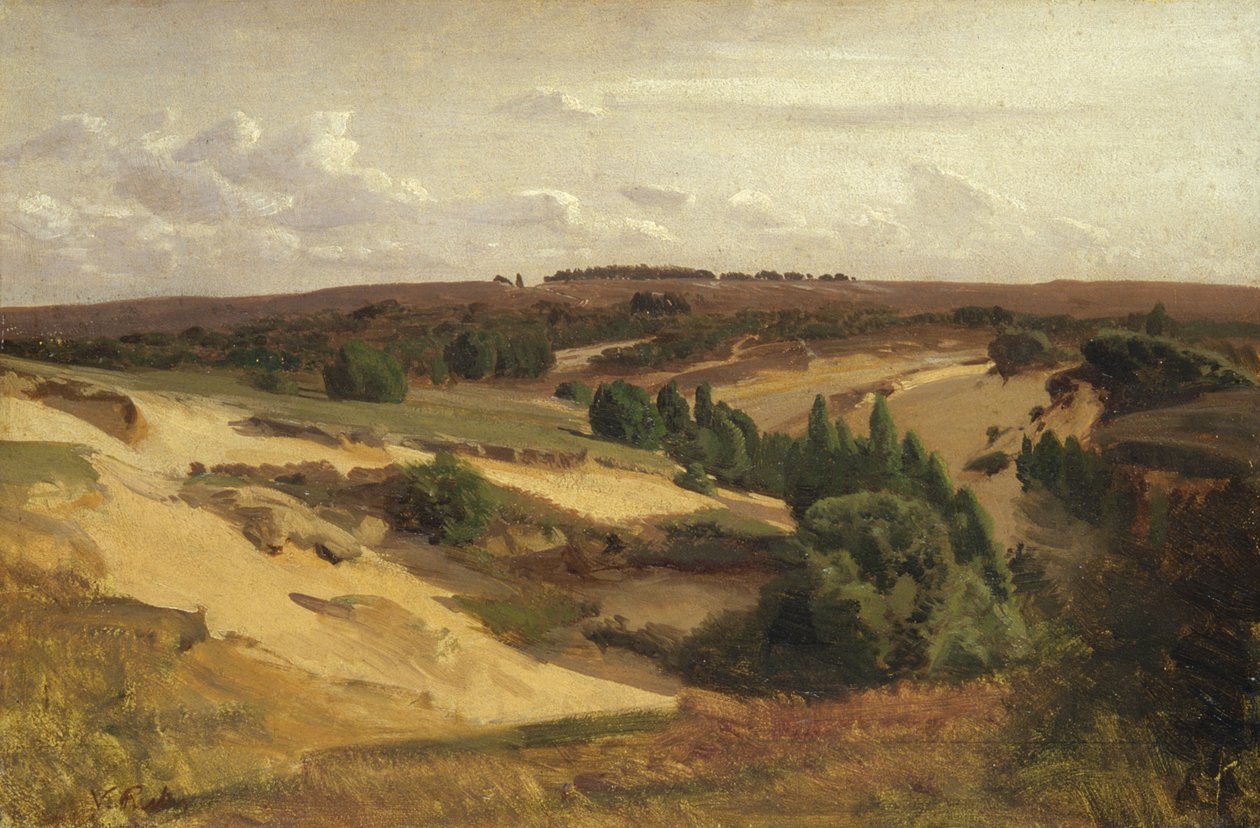 Wrzosowisko pod Bispingen, 1887 (olej na papierze na płótnie) autorstwa Valentin Ruths