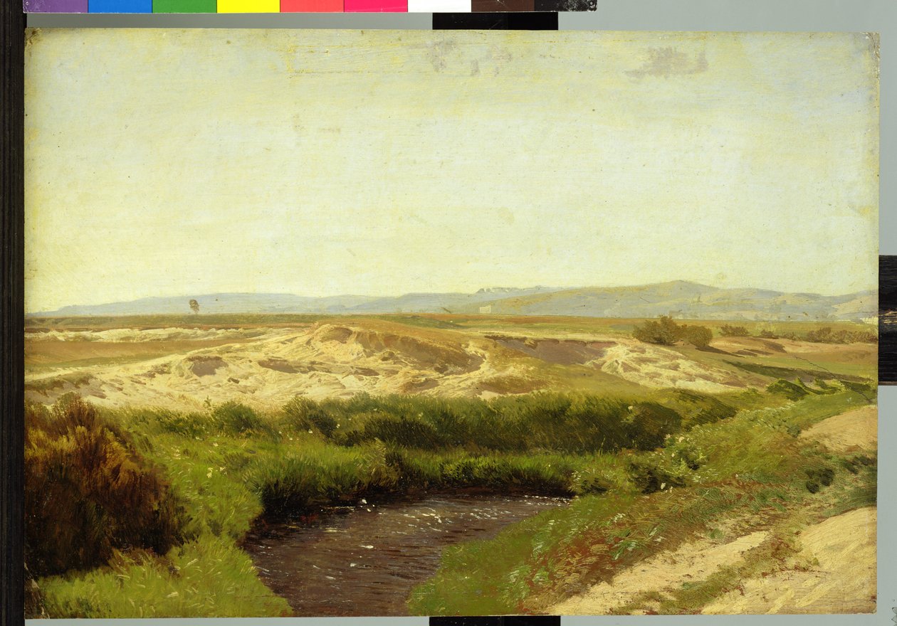 Na Pustaci Luneburskiej, 1887 (olej na papierze) autorstwa Valentin Ruths
