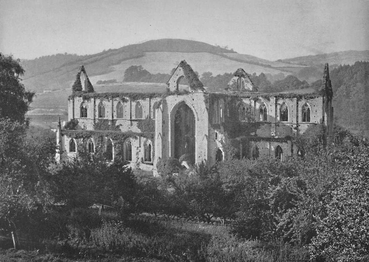 Opactwo Tintern, ok. 1896 r. autorstwa Valentine and Sons Ltd