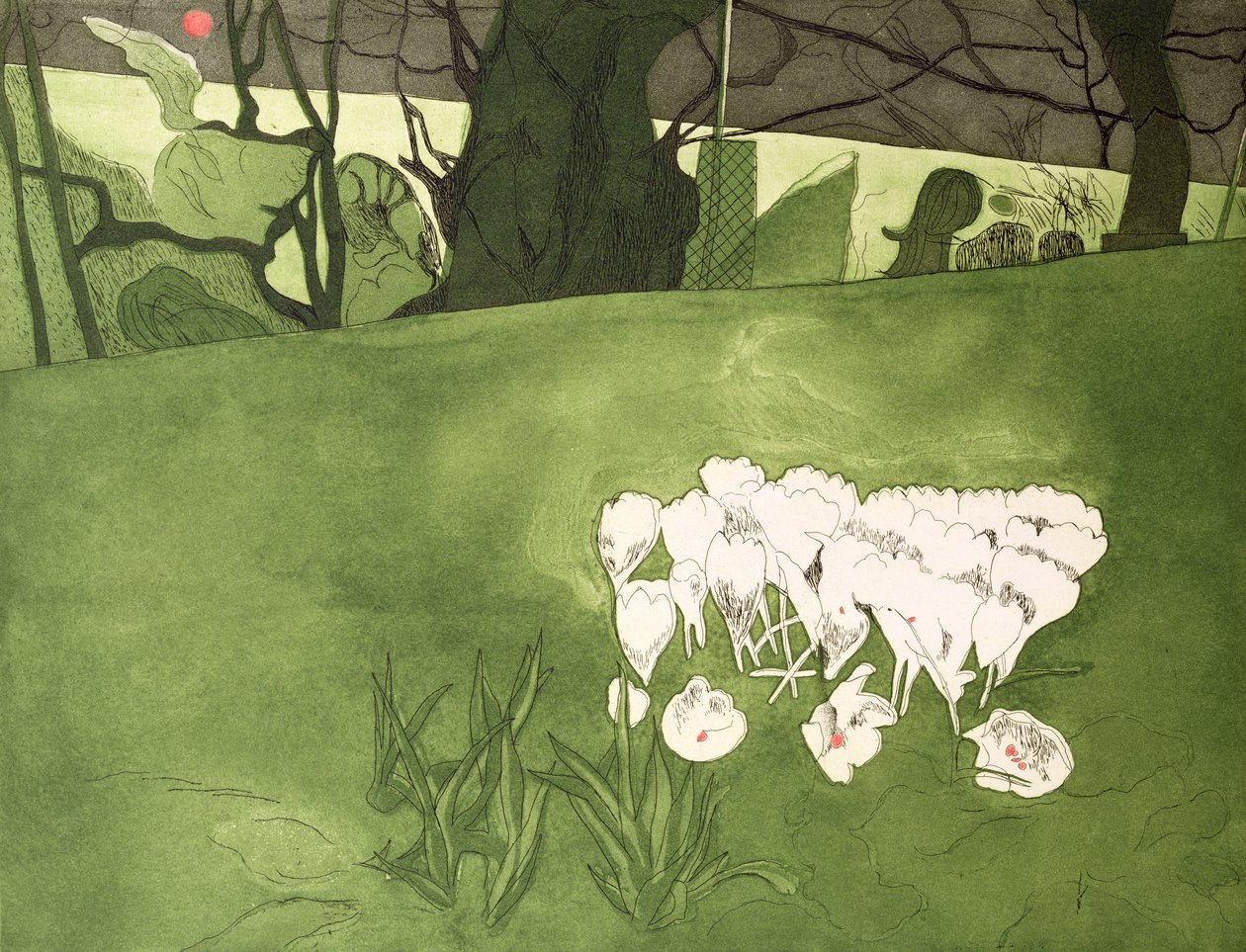 Krokus (druk) autorstwa Valerie Daniel