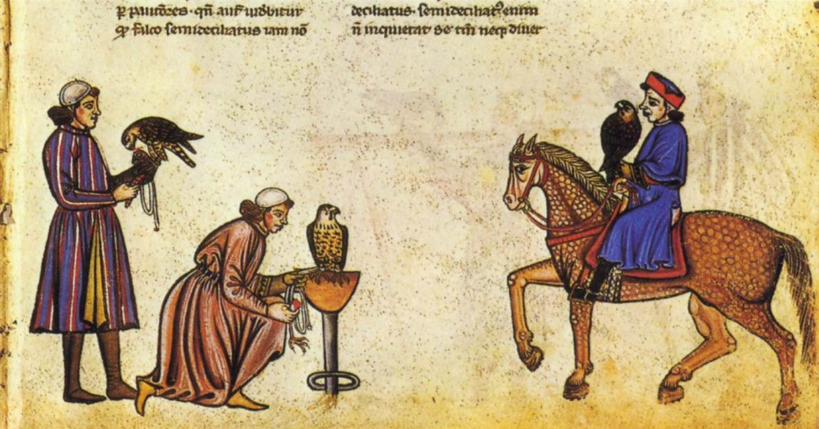 Księga sokolnicza Fryderyka II autorstwa Vatican Library
