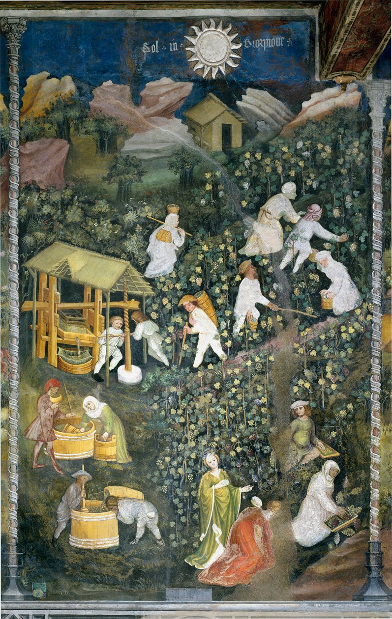 Październik: scena żniw, zbiór winogron i przygotowanie moutu (tłoczenie wina). Obraz Mistrza Miesiąca lub Mistrza Wacława (Maestro dei Mesi lub Maestro Wenceslao w języku włoskim, początek XV w.) odrestaurowany przez Marcello Fogolino około autorstwa Venceslao Maestro